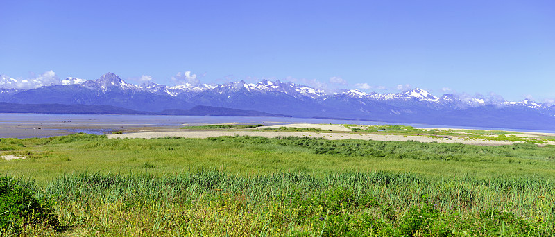 荒野景观在阿拉斯加，美国