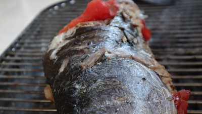烤鱼特写