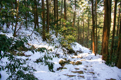 冬天有雪的山路