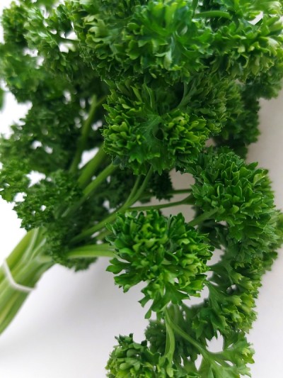 欧芹