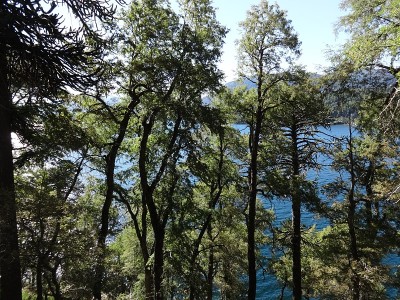 Ñorquinco湖