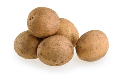 生土豆孤立