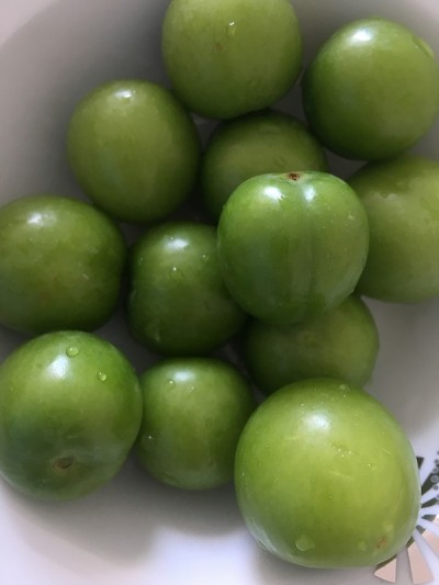 绿色的李子