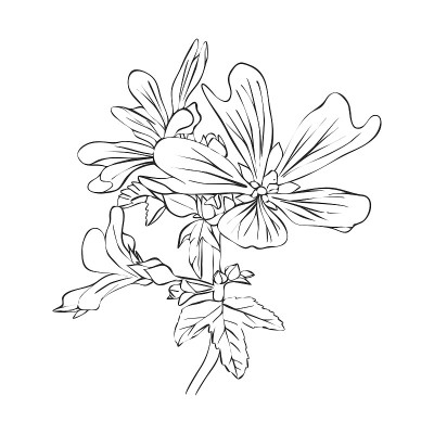 矢量图花