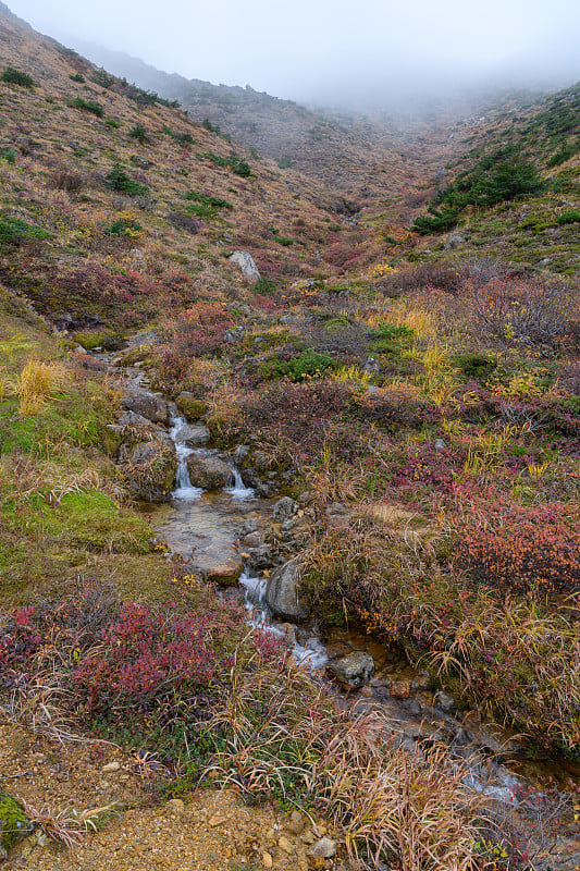 阿达塔拉山的秋叶