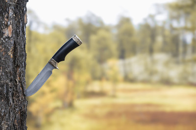 配刀卡在松树上了。登山设备。