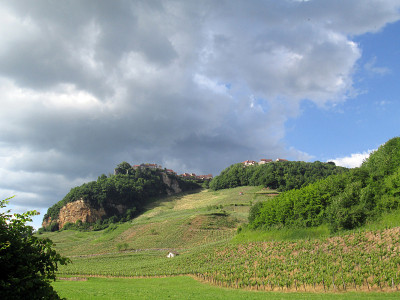 葡萄园和Chateau Chalon村庄在Jura，法国