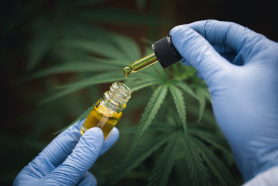 科学家的手滴大麻油的实验和研究，草药替代药物的概念，cbd大麻油，制药工业。