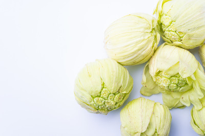 一种可食用的花蕾，日本的一种butterbur