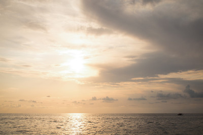 海