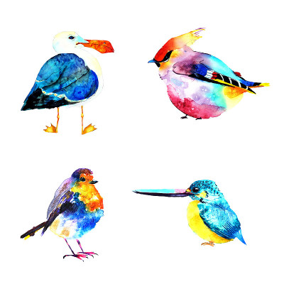 插图