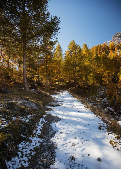在马拉山谷徒步旅行