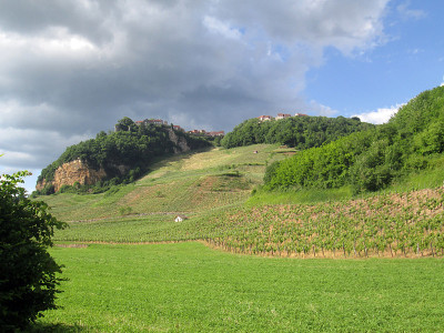 葡萄园和Chateau Chalon村庄在Jura，法国