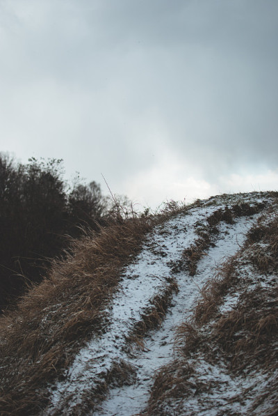 枯黄的草上覆盖着白雪