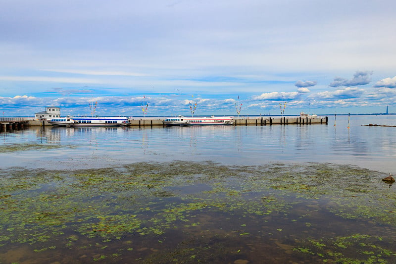 水翼船停泊在芬兰湾开放的海岸，在彼得霍夫(圣彼得堡郊区)，俄罗斯