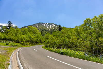 北海道美丽的风景