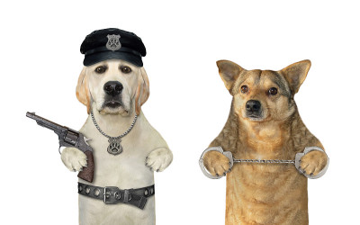 警犬逮捕罪犯