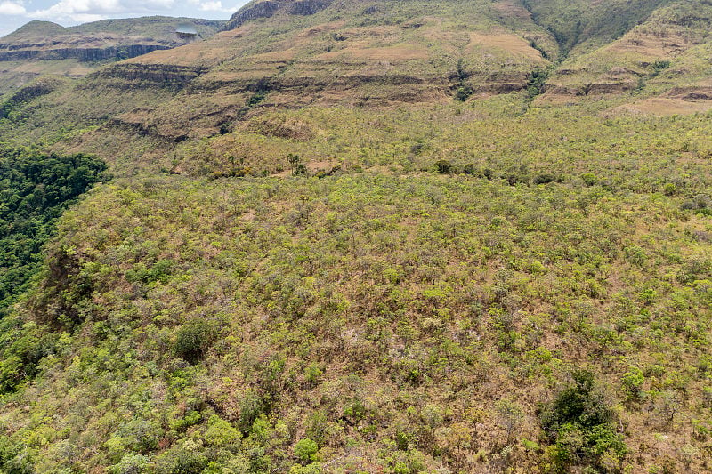 veadeiros的Chapada dos veadeiros