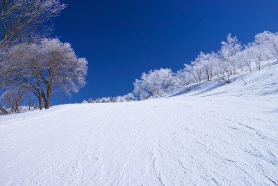 雪和滑雪场