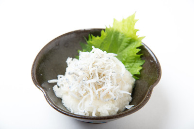 shirasu白萝卜