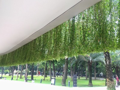 悬挂植物生长和布置在建筑的屋顶上。