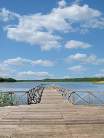 Schmachter See湖，宾茨，Rügen，梅克伦堡-西波美拉尼亚，德国
