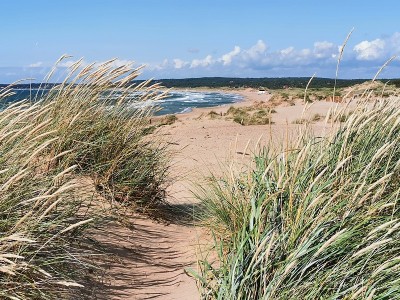 景观海景海滩Tylösand Halmstad