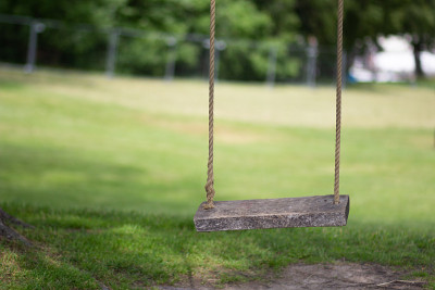 Empty tree rope swing with wooden board in summer 