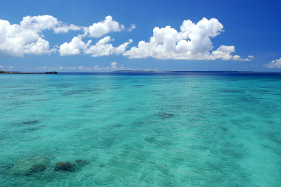 海