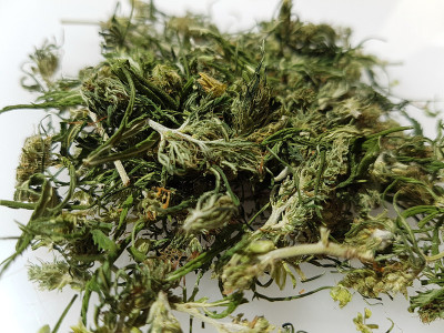 麻开花