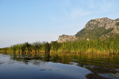 岩石悬崖和绿色森林在广阔的石灰岩山上湿地