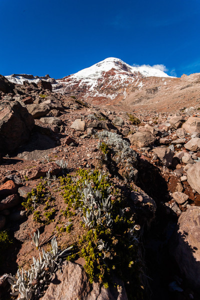 Chimborazo volcano