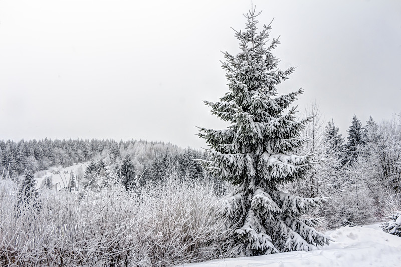 高原上的雪山景观