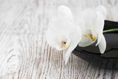 兰花水疗