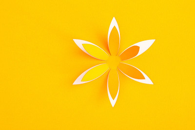贺卡与纸花