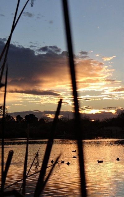 SouthwestTerritory