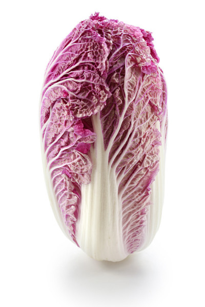 紫色的白菜