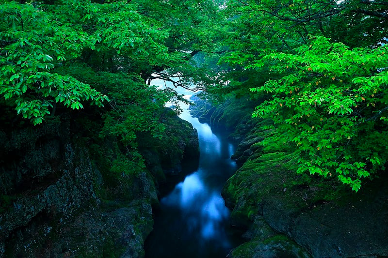 岩手县夏季山溪