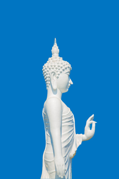 白佛