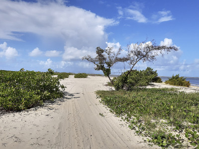 巴西东北部的Sao Cristovao Aracaju Sergipe灯塔