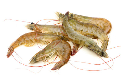 生虾