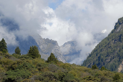 山