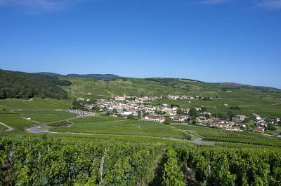 风景如画的Fuissé村位于勃艮第葡萄园的Saône-et-Loire处
