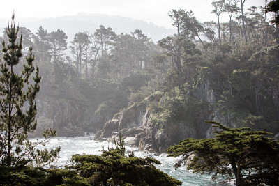 在Point Lobos，加利福尼亚的海岸风景