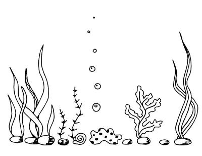 手绘简单的矢量画在黑色轮廓。水下世界，海藻，水族馆。海洋,海底。用于打印，标签，海鲜，渔具。