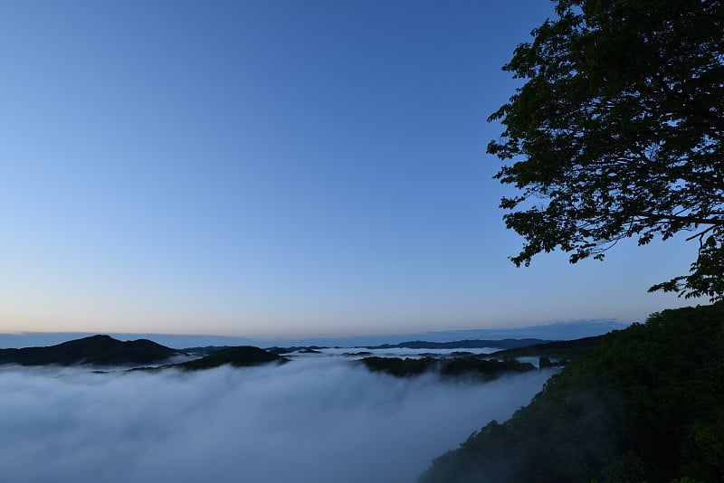 清晨的云海