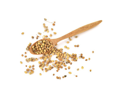 俯视图香菜种子在木勺上的白色背景