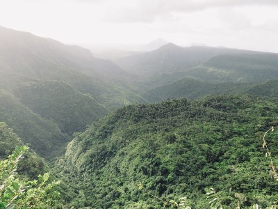绿色的山