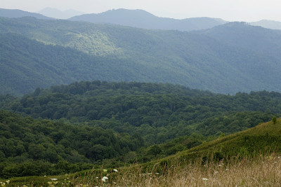 Max Patch, Appalachian Trail, Pisgah Nat Forest
