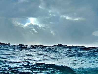 游泳在海平面上